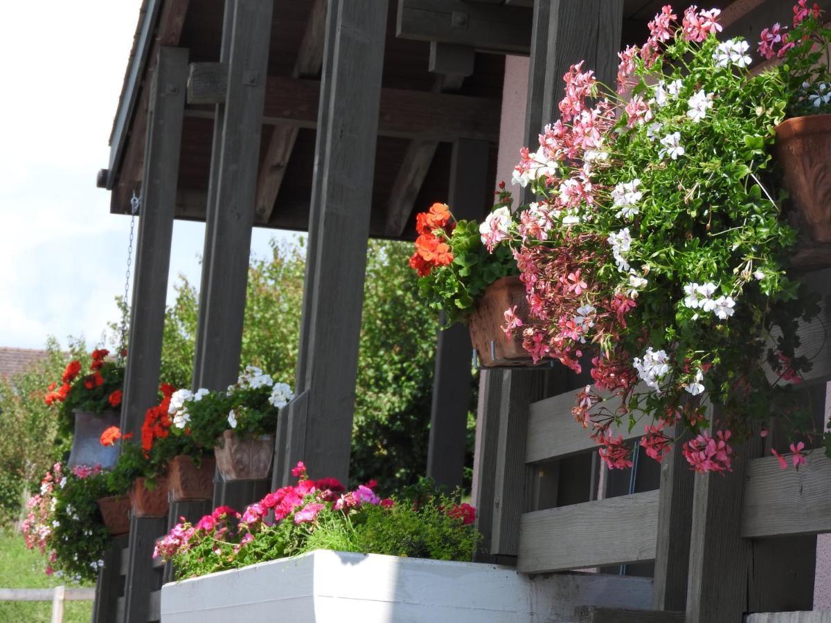 Chambres D'Hotes Le Bargeot Sion Bagian luar foto